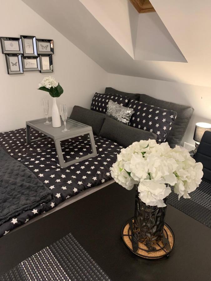 Apartment Mansarda Maribor