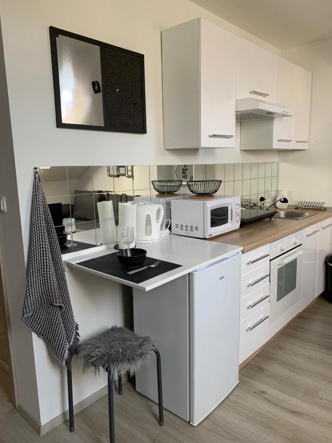 Apartment Mansarda Maribor