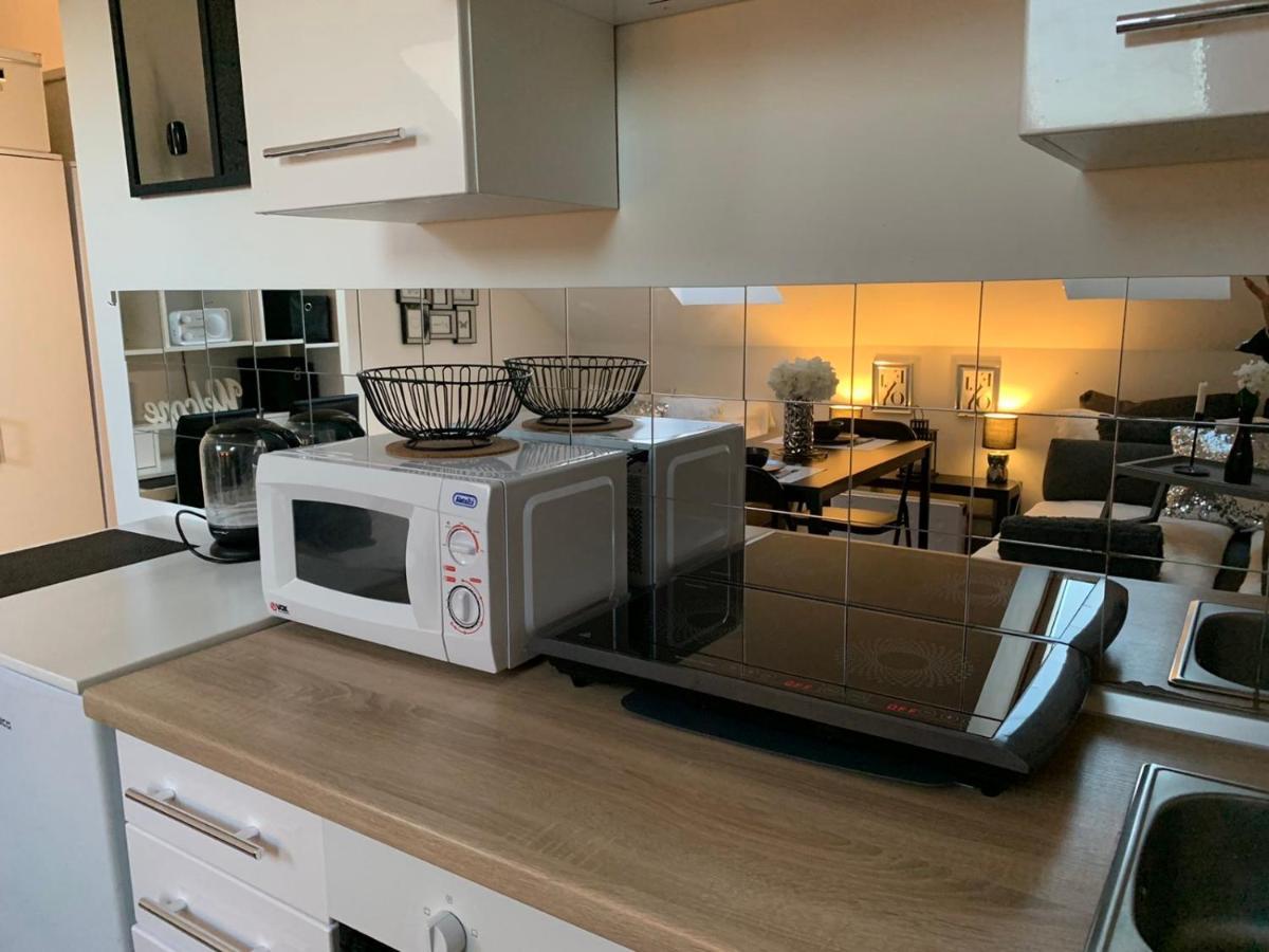 Apartment Mansarda Maribor