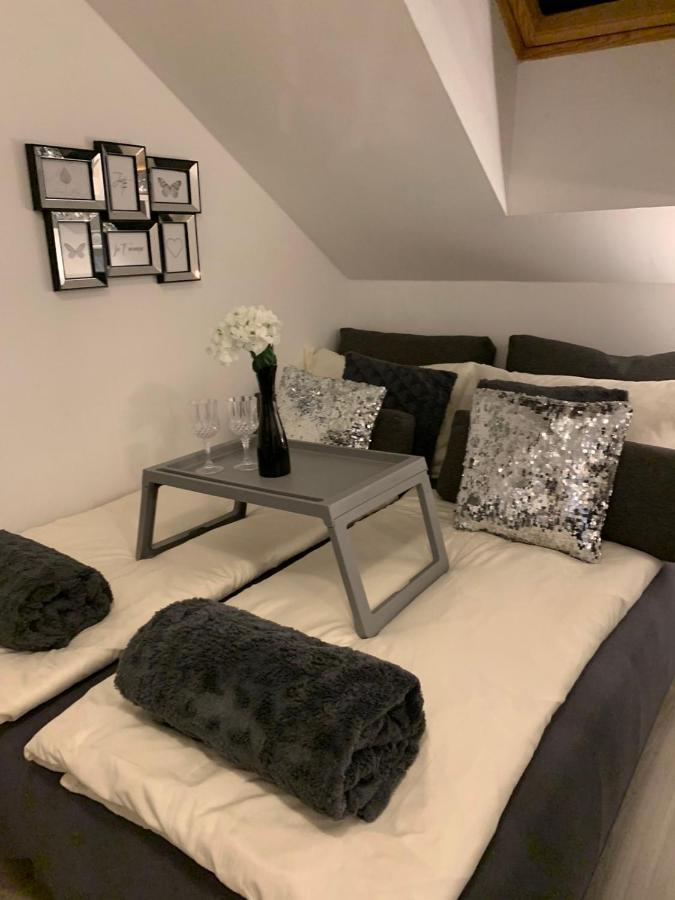 Apartment Mansarda Maribor